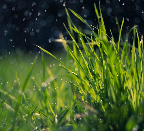 Watch: Patton on what the weather may hold for livestock farmers