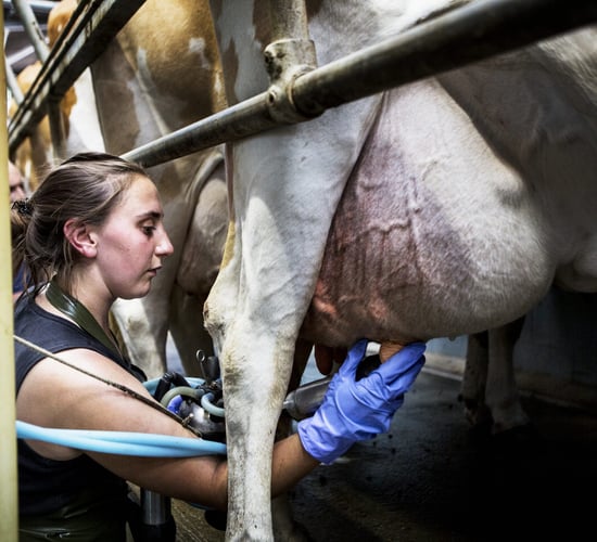 Women farming in the EU face 'issues' with finance access - Roche