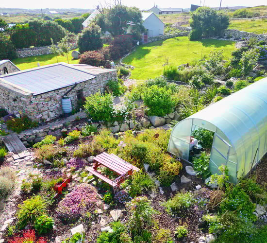 Swapping farming in Washington for Connemara