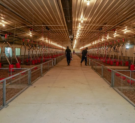 Devenish and CB Group open poultry research facility in Jamaica