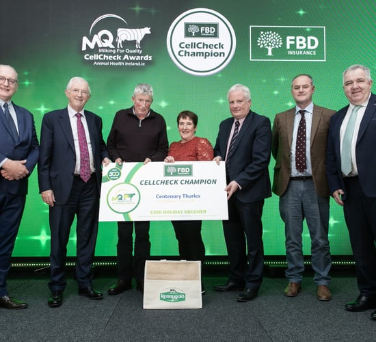 AHI announces CellCheck award winners for 2024