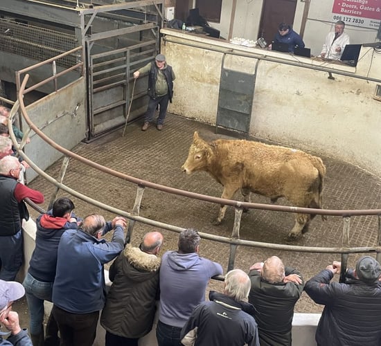 Mart Report: Fiery trade ramps up at Granard Mart