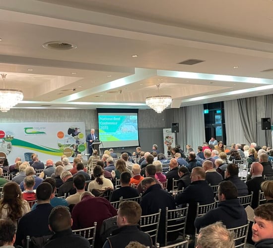 National Beef Conference set for Leitrim on November 19