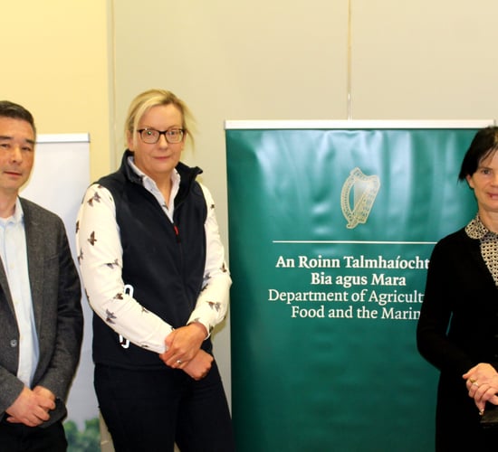 Irish potato market valued at €219m over the past year - Bord Bia