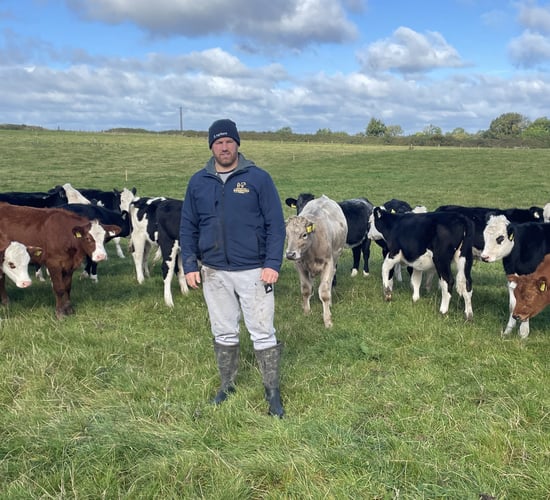 Watch: Seán O'Brien's suckler and dairy-beef farm in Carlow