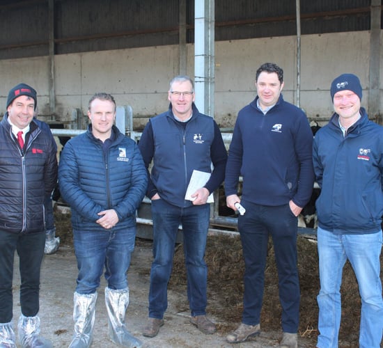 Breeding for components on Down dairy farm