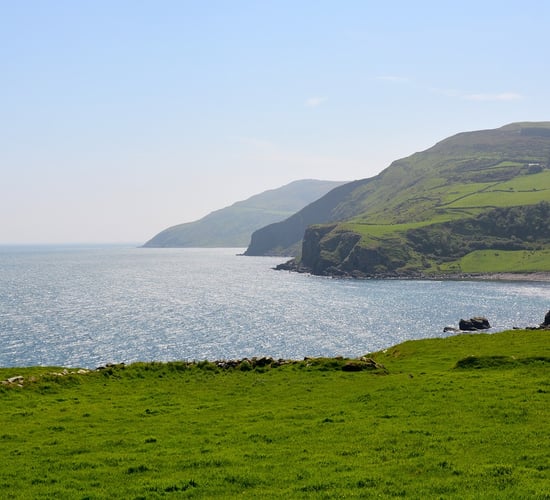 Ireland climbs 14 places on Climate Change Performance Index