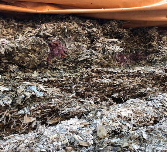 Identifying and mitigating mycotoxin risk in winter feeds