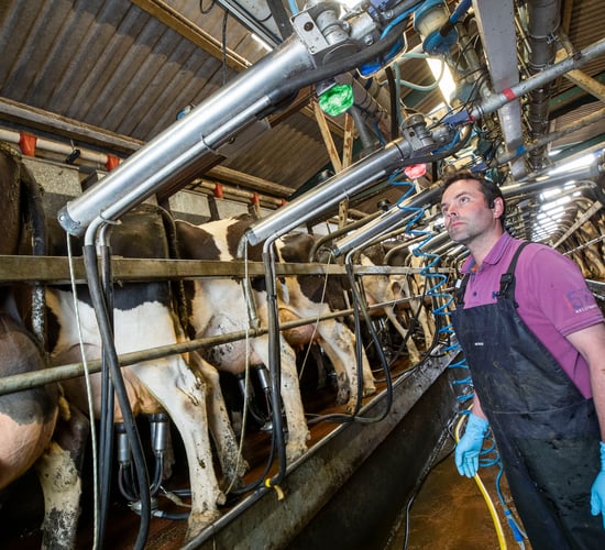 Watch: SenseHub makes advances in milk monitoring &amp; animal health solutions