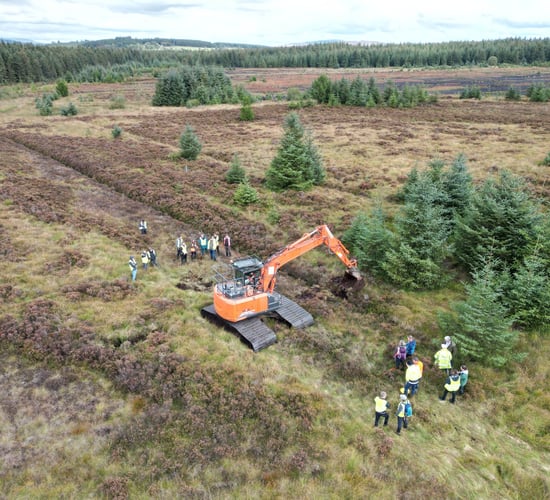 Over 30 people complete NI peatland restoration training