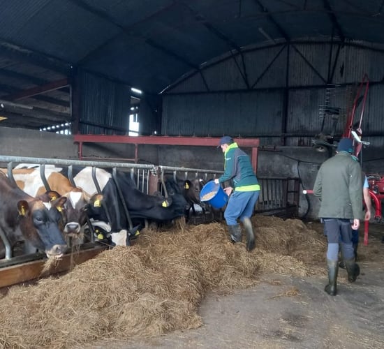 Almost €780,000 in funding for social farming initiatives