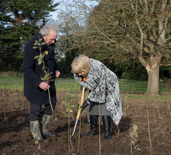 Mini forest planted at Áras an Uachtaráin to mark new planting season