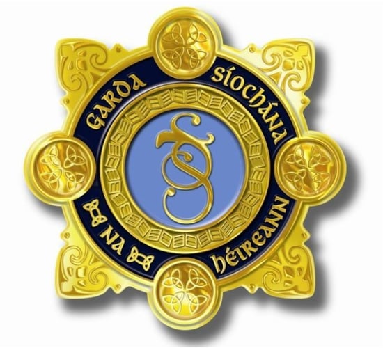 Gardaí in Kilkenny and Carlow investigate aggravated burglaries