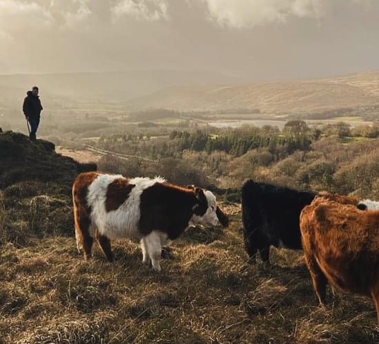 Donegal farmers hold events to share experience on restoring land