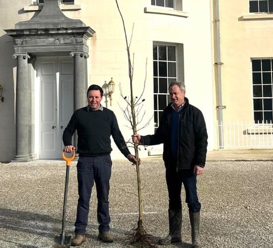 Volunteers donate 35,000 native trees nationwide