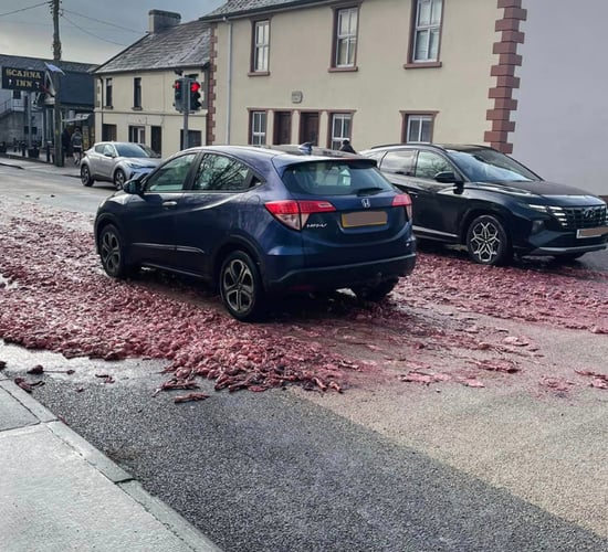 Council commended after clean up of poultry waste spill in Monaghan