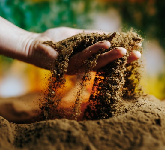 Final registration deadline for NI Soil Nutrient Health Scheme approaching
