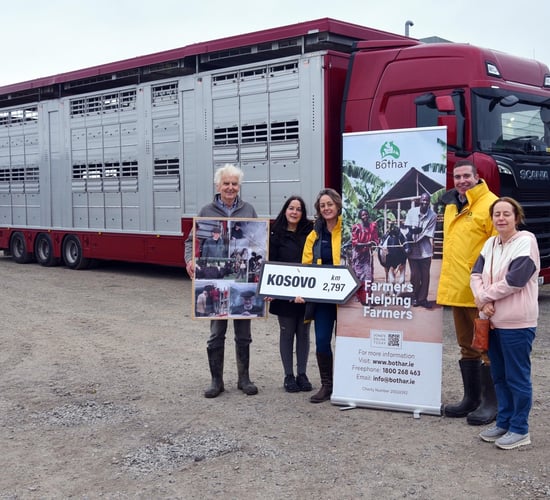 Supporters see off Bóthar memorial shipment of heifers to Kosovo