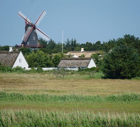 Thomas Duffy: Why has Denmark embraced a cow tax?
