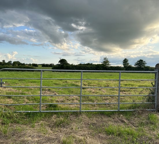 Ireland had fourth largest drop in agricultural income in EU in 2023 - Eurostat
