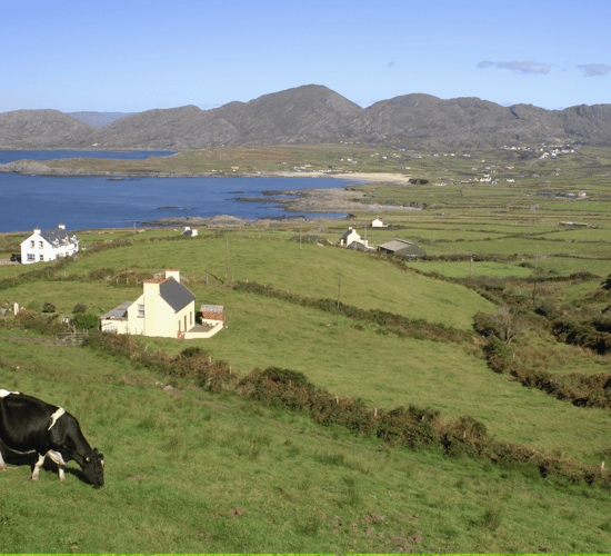 Farmers 'cannot afford to wait' until 2040 for new EU vision - farm org