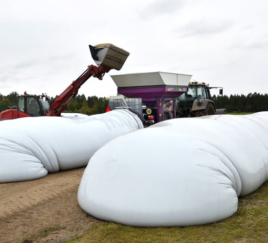 Ensiling grain with new hammer mill from Murska