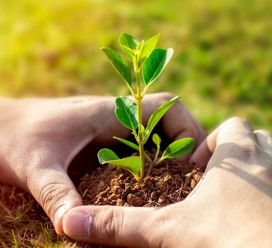 COP29: Transform agri-food systems to reduce carbon emissions - FAO