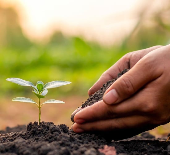 Commission seeks views on simplifying environmental legislation