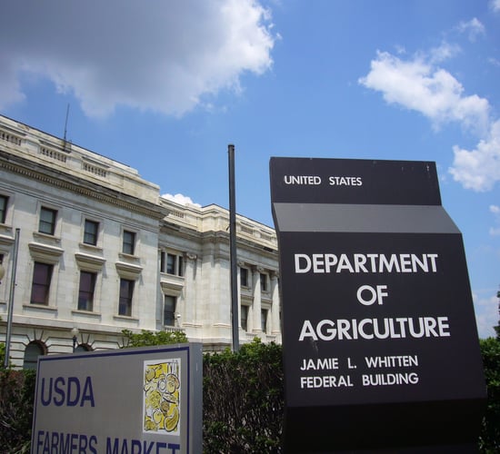 US suspends live cattle imports from Mexico due to parasite spread