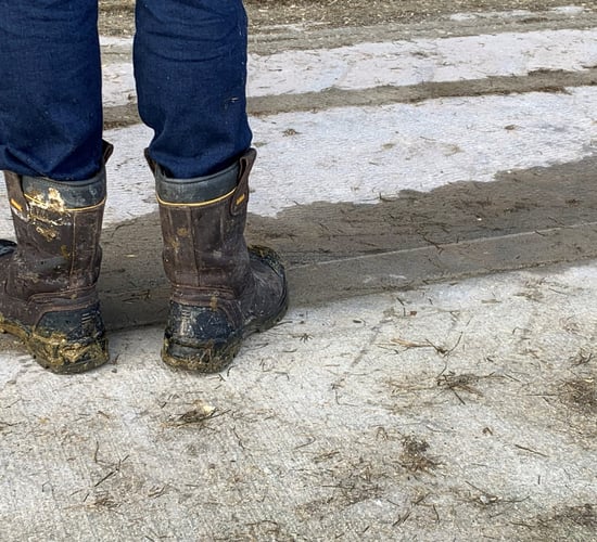 Abbeyfeale Mart to reopen this weekend after 'severe flooding'