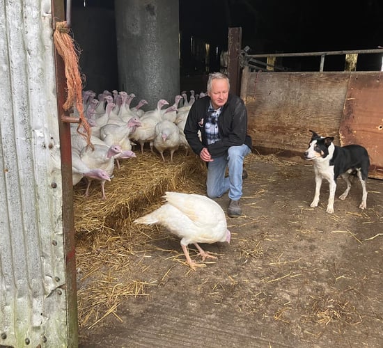 Watch: Turkey farming in the lead up to the busiest time of year