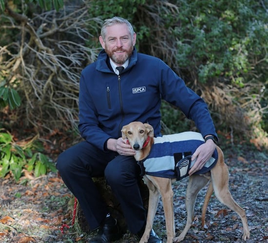 ISPCA urges public to help animals in need this Christmas