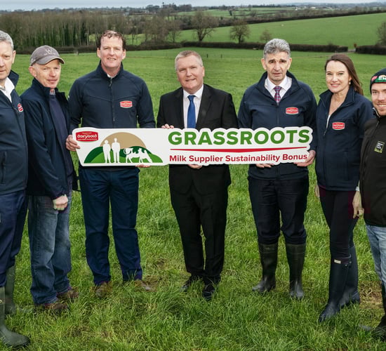Dairygold increases sustainability bonus to €14m per year