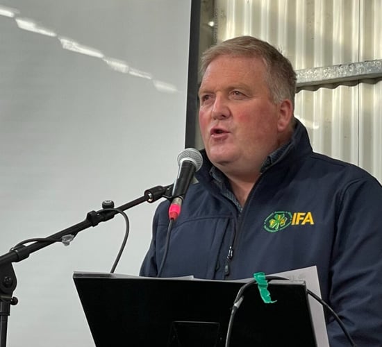 IFA livestock chair review and 2025 suckler and beef outlook