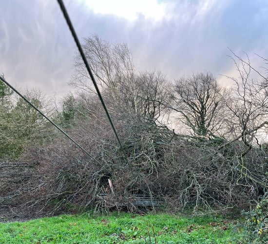 Ireland must be 'much better prepared' for extreme weather events