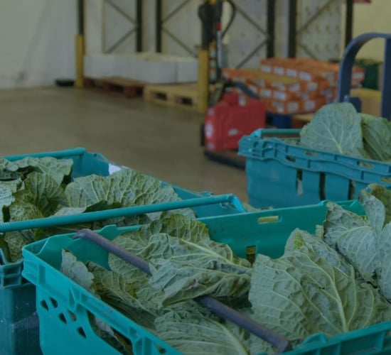 Watch: Growers' produce redistributed at FoodCloud Galway hub