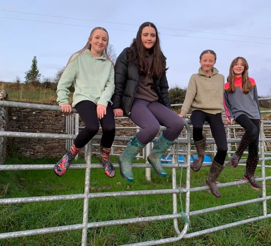 Drumshanbo students win for electric fence 'Wasp' product