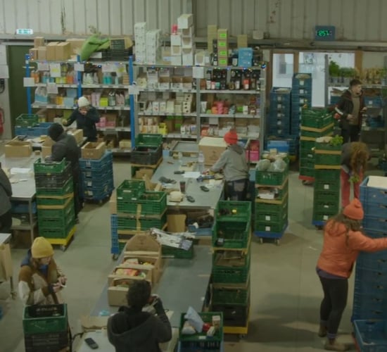 Watch: Galway organic veg farm delivers to doors nationwide