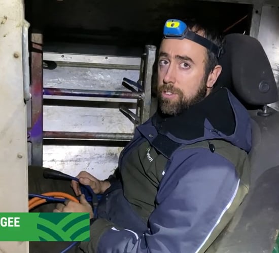 Watch: Update on sheep scanning results to date