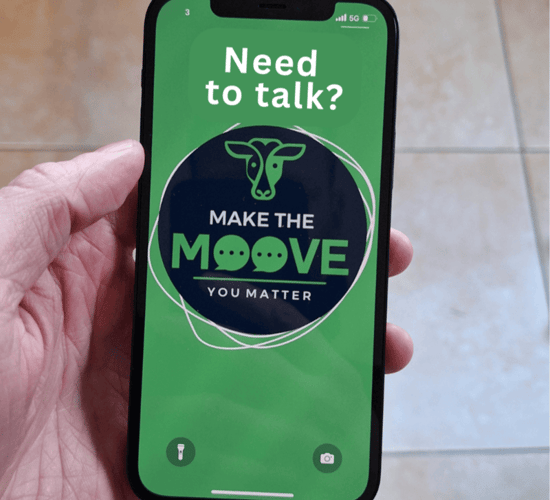 Make the Moove support line to operate during Christmas