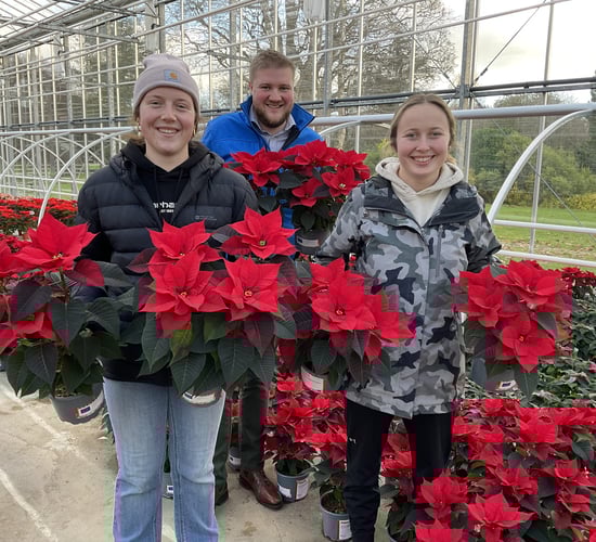 US agri exchange students recount their positive time in NI