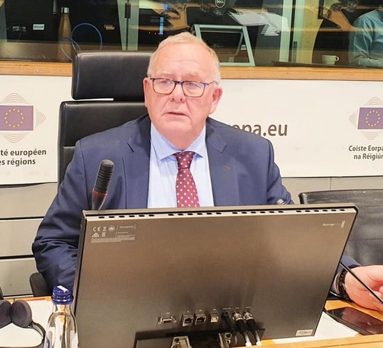 Irish Rural Link CEO elected as candidate for EESC presidency