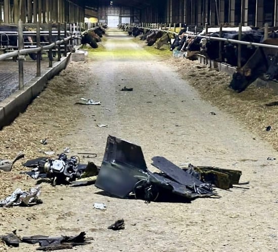 Ukraine dairy sector still investing despite Russian missiles