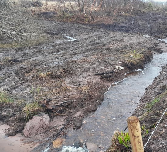 Landowner convicted for dredging fish spawning habitat