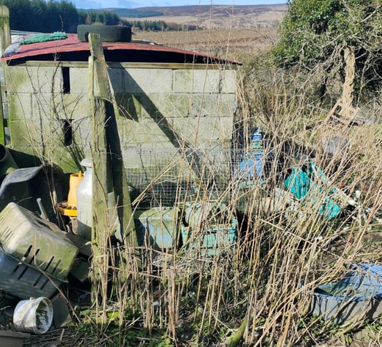 Animal sanctuary owner sentenced for operating 'house of horrors'