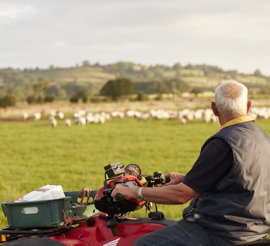 Video - A look back at 2024 and a Happy New Year from Agriland