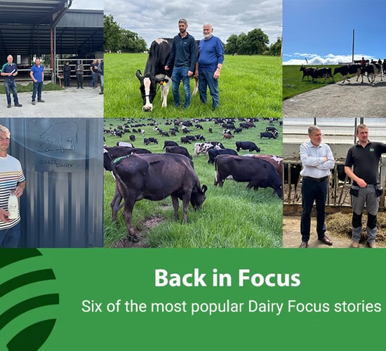 'Dairy Throwback' series to go live over Christmas period