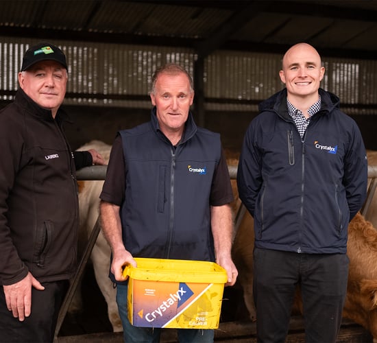 Watch: Don't leave calving performance to chance this winter