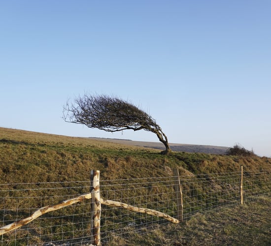 Status Yellow weather warning issued for the north