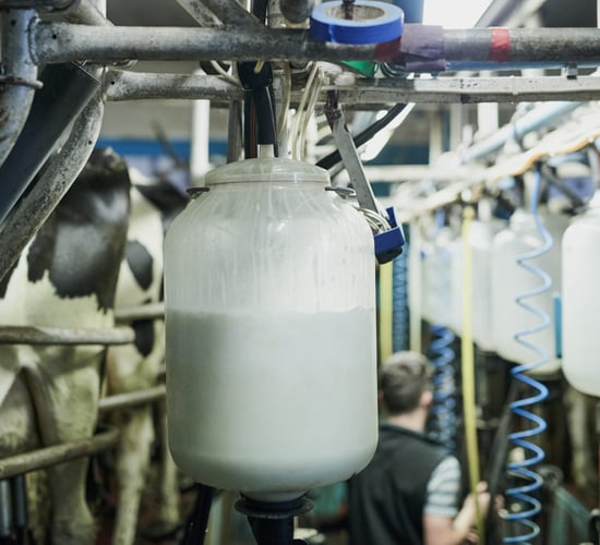 What is current milk performance looking like on farms?